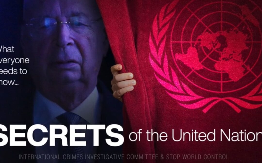 SECRETS OF THE UNITED NATIONS / Oligarchs Own The U.N. with Former UN Executive Director Călin Georgescu and Reiner Fuellmich, Stop World Control Edit